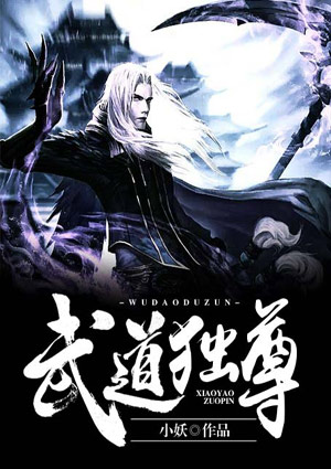 武道独尊罗天