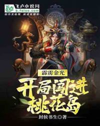 霹雳金光:开局闯进桃花岛