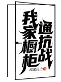 我家橱柜通抗战