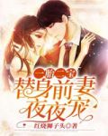 一胎二宝:替身前妻夜夜宠