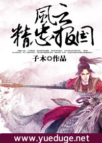 风云:精忠报国