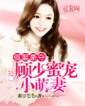 顾少蜜宠小萌妻
