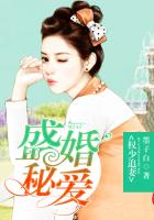 权少追妻,盛婚秘爱