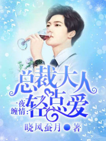 一夜缠情:总裁大人轻点爱