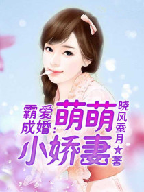 霸爱成婚:萌萌小娇妻
