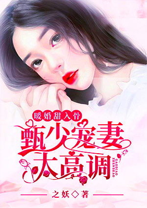 暖婚甜入骨:甄少宠妻太高调