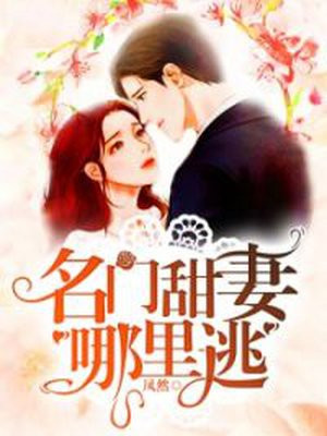 久爱成疾:名门新妻哪里逃