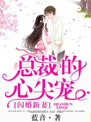 闪婚新妻:总裁的心尖宠