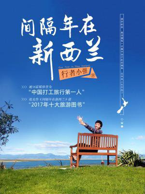 间隔年在新西兰