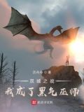 双城之战:我成了黑气巫师
