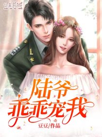 陆爷,乖乖宠我