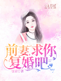 前妻,求你复婚吧