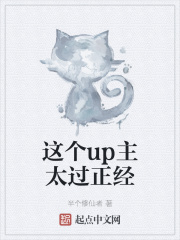 这个up主太过正经