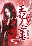 报告王爷,王妃是女巫