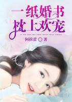 一纸婚书,枕上欢宠