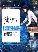 陆少,你家娇妻跑路了