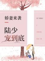 娇妻来袭:陆少宠到底