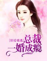 旧爱难逃:总裁一婚成瘾