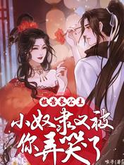 报告长公主,小奴隶又被你弄哭了