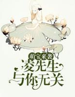 萌宝来袭:凌先生,与你无关