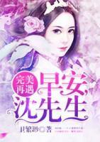 完美再遇:早安,沈先生