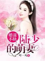 婚谋不轨:陆少的萌妻