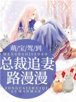 萌宝驾到,总裁追妻路漫漫