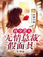 夜少袭人:无情总裁假面妻