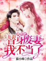 离婚吧,替身废妻我不当了