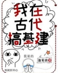 我在古代搞基建