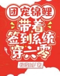 团宠锦鲤:带着签到系统穿六零