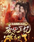 魔尊大人被渣后,废材王妃雄起了