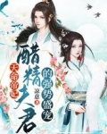 天命帝妃,醋精夫君的强势盛宠