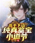 高手下山:纯真鉴宝小道爷