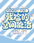 丹田被挖?不怕!我捡的空间能治
