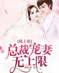 枕上欢:总裁宠妻无上限