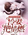 破解财富密码后，冷妻把情燃