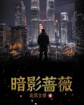 暗影蔷薇