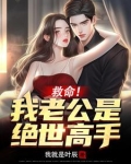 救命!我老公是绝世高手!