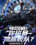 让你研究气象,你磁暴鹰酱舰队?