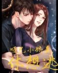 腹黑总裁的哑妻