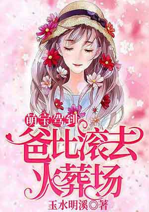萌宝驾到:爸比滚去火葬场