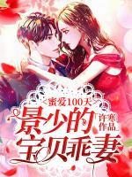 蜜爱100天:景少的宝贝乖妻