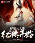穿越从无限红楼开始