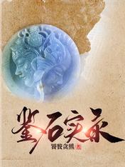 鉴石实录大结局