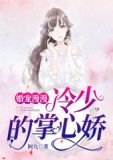 婚宠漫漫：冷少的掌心娇