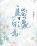 [红楼]林夫人躺赢日常