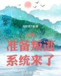 木叶：准备叛逃，系统来了